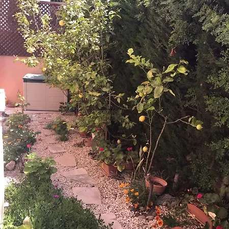 Tala Hills Sea View דירה *